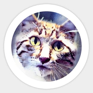 Catlike mycat, revolution for cats Sticker